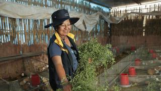 Southern Perú apoya a la mujer mediante programas de empleabilidad y desarrollo económico