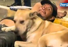 Amor incondicional: Perrito se hace viral tras no abandonar a su dueño que fue atropellado en México 