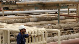 Irak busca dejar de depender de sus recursos naturales liberalizando su economía