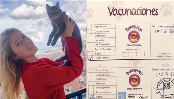 Gato Lee cuenta con sus vacunas como lo muestra este certificado.