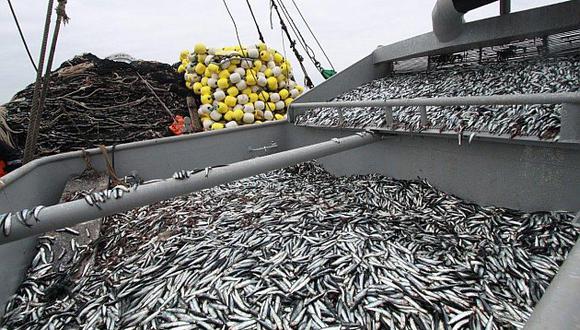 Los principales destinos de pesca para consumo humano fueron China y Estados Unidos. (Foto: GEC)