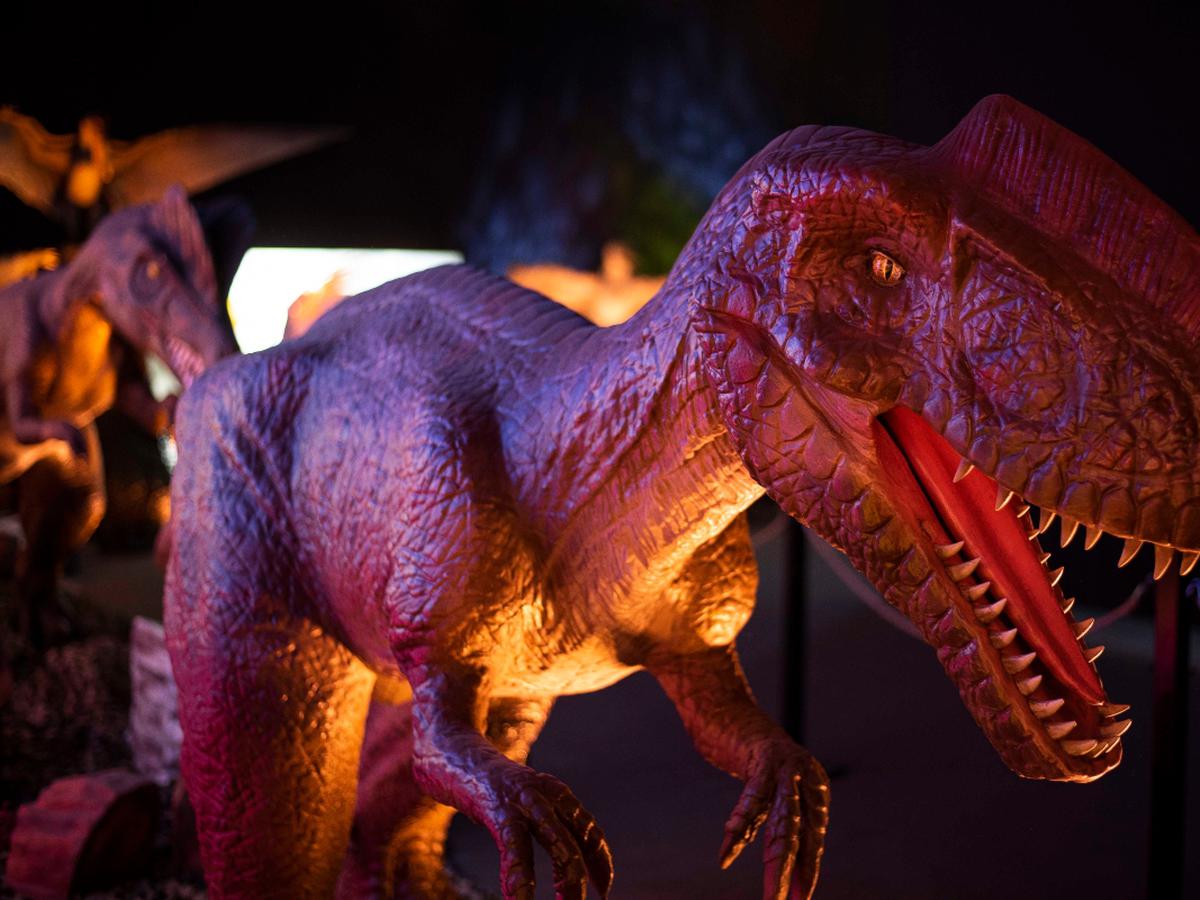 Exhibición de dinosaurios en el Centro Comercial Plaza Norte | Entradas en  Joinnus Farándula | RMMN | ESPECTACULOS | PERU21