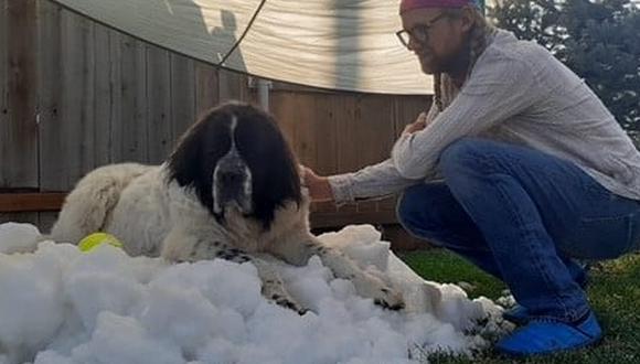 Maggie partió rodeada de amor y con su familia humana que hizo lo imposible para que disfrutara de la nieve una última vez. (Foto: Salt Lake County Parks and Recreation / Facebook)
