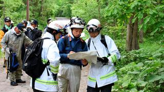 Japón: Buscan intensamente a niño abandonado en un bosque por sus padres como castigo