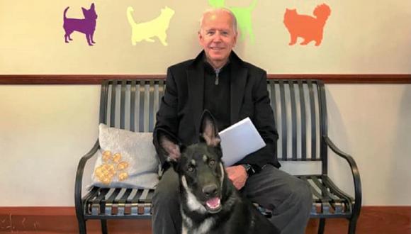 Imagen de la Delaware Humane Association, que muestra a Joe Biden con uno de sus perros recién adoptados. (Foto referencial / Facebook /Delaware Humane Association)