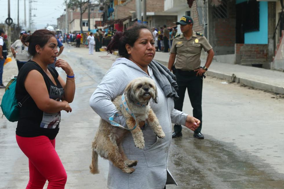 Mascotas presentan quemaduras tras incendio en Villa El Salvador (Fotos: Gonzalo Córdova)