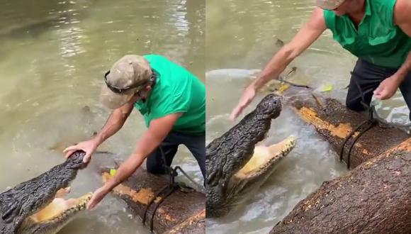 Un video viral muestra cómo un aventurero al aire libre hizo que un cocodrilo de gran tamaño se alejara de él y lo dejara trabajar usando únicamente sus manos. | Crédito: &#64;mattwright / Instagram.
