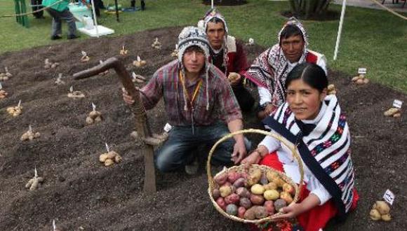 En Perú hay 3 mil ,500 variedades de papa. (Foto: difusión)