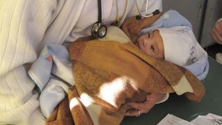 EEUU: Almohadas y edredones amenazan de muerte súbita al 55% de los bebés