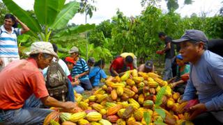Pedro Pablo Kuczynski presidirá inauguración de segunda etapa del programa Alianza Cacao Perú