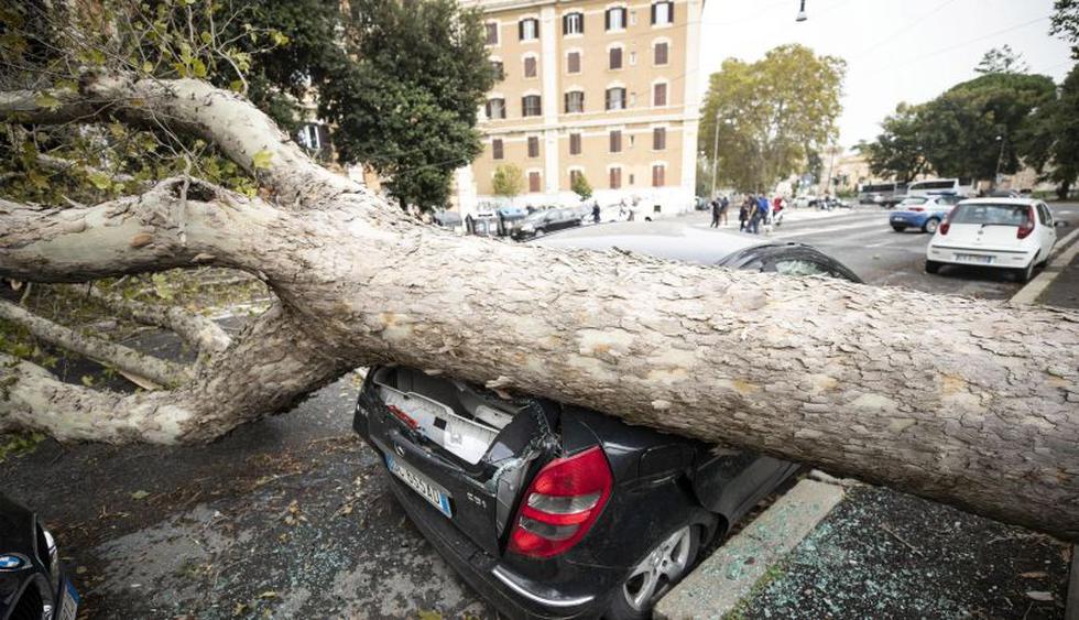 Un fuerte temporal causa al menos cinco muertos en Italia | Foto: EFE