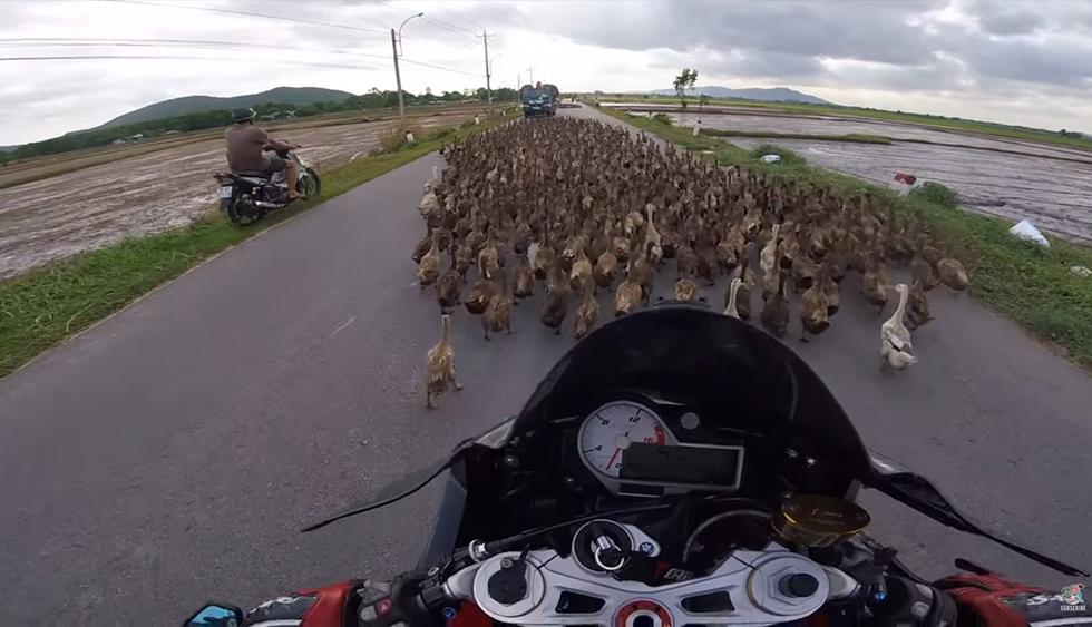Manejaba su moto cuando repentinamente miles de patos bloquearon el camino. Ocurrió en Vietnam. (Foto: YouTube|ViralHog)