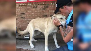 Perro abandonado por inundaciones del huracán Florence es rescatado en emotivo acto
