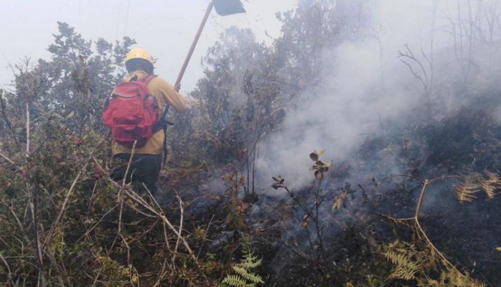 Cusco: Incendio forestal en el distrito de Machu Picchu fue controlado. (Andina)