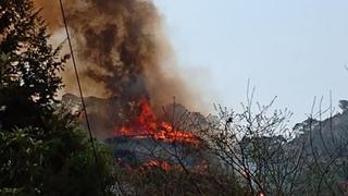 México: Mujer provocó incendio de 60 hectáreas por grabar video para Tik Tok