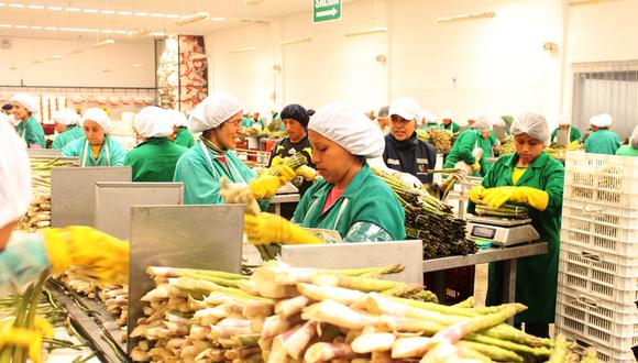 Derogar el régimen de la exportación no tradicional afectaría a tres millones de trabajadores. Propuesta para eliminar el marco normativo perjudicaría a la agroindustria, la pesca y la manufactura. (ADEX)