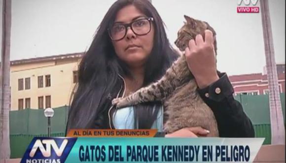 Al menos 40 gatos han desaparecido del Parque Kennedy, indicó la activista. (ATV Noticias)