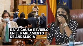 Rata irrumpió en sede del Parlamento de Andalucía y generó revuelo entre los diputados