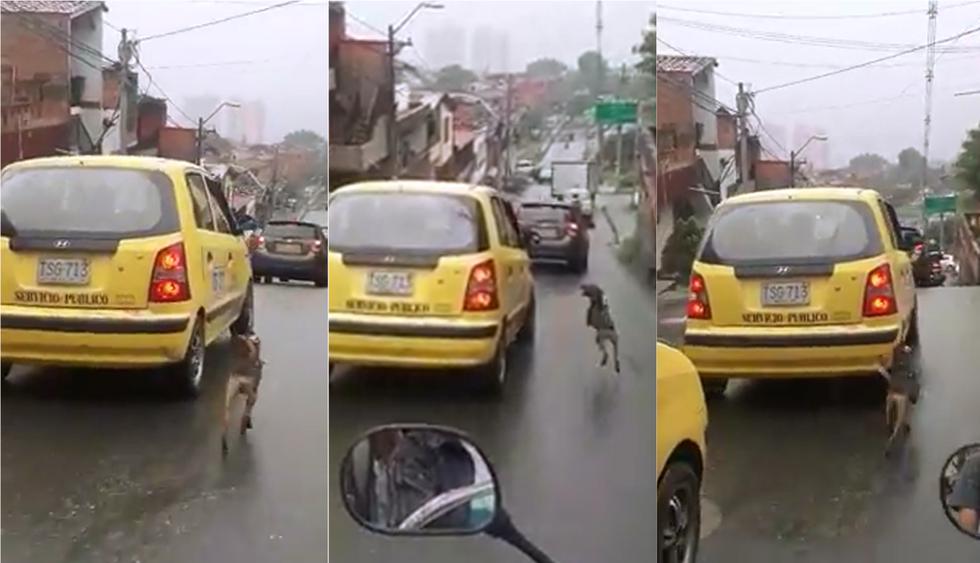 Un perro persigue bajo la lluvia al taxi de sus dueños tras ser abandonado. (Facebook |&nbsp;Andres Daza)<br>
