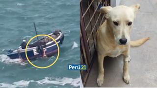 Policías logran rescatar a perrito que nadaba a la deriva en playa de Huacho [VIDEO]