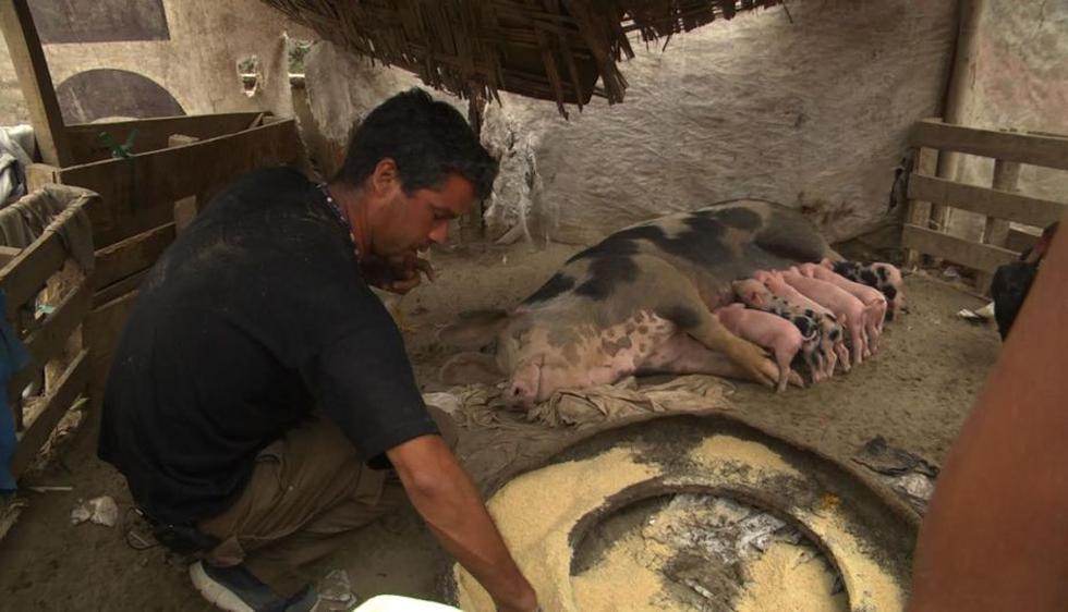 Mira cómo Pancho Cavero auxilia a animales afectado por los huaicos. (Difusión)