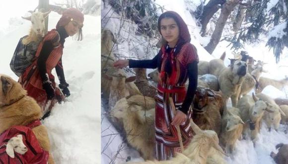 Hamdu y Tomi salvaron a una cabra y su cría recién nacida de morir en la nieve. Foto: Twitter/@ImProAnimal