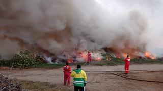 Áncash: Incendio forestal consume 35 hectáreas de pastizales en Nepeña