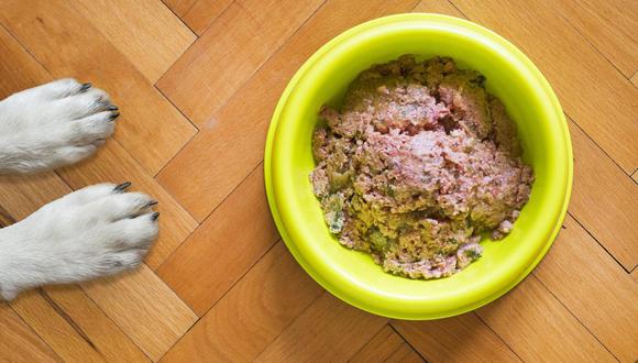 Aquí te dejamos algunos trucos para quitar los residuos de comida acumulados en el plato de tu perro para que queden limpios y relucientes. (Foto: Pixabay)