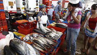 La Libertad: Autoridades incautaron 190 kilos de pescado en terminal