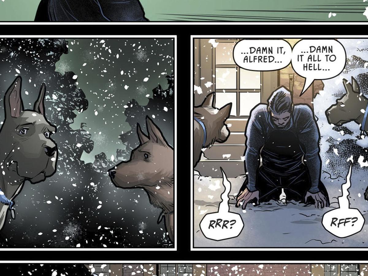 Batman: conoce a Ace y Titus, los perros de Bruce Wayne que lo ayudan a  superar la muerte de Alfred | DC Comics | PUBLI | PERU21 G21