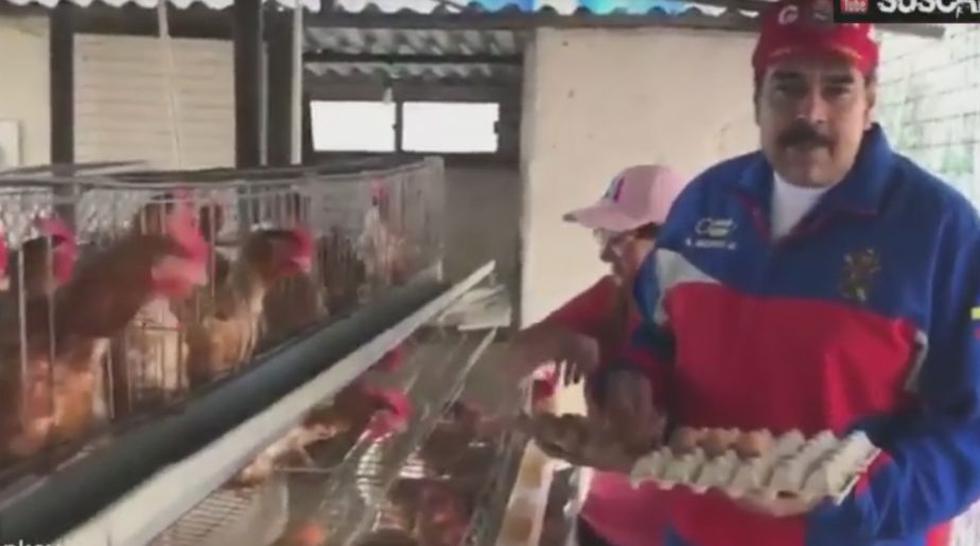 Nicolás Maduro alienta a venezolanos a criar gallinas para combatir escasez de alimentos. (YouTube)