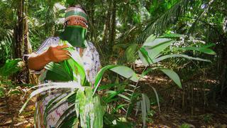 Colombia y Perú instalan comité COVID-19 para proteger a indígenas amazónicos 