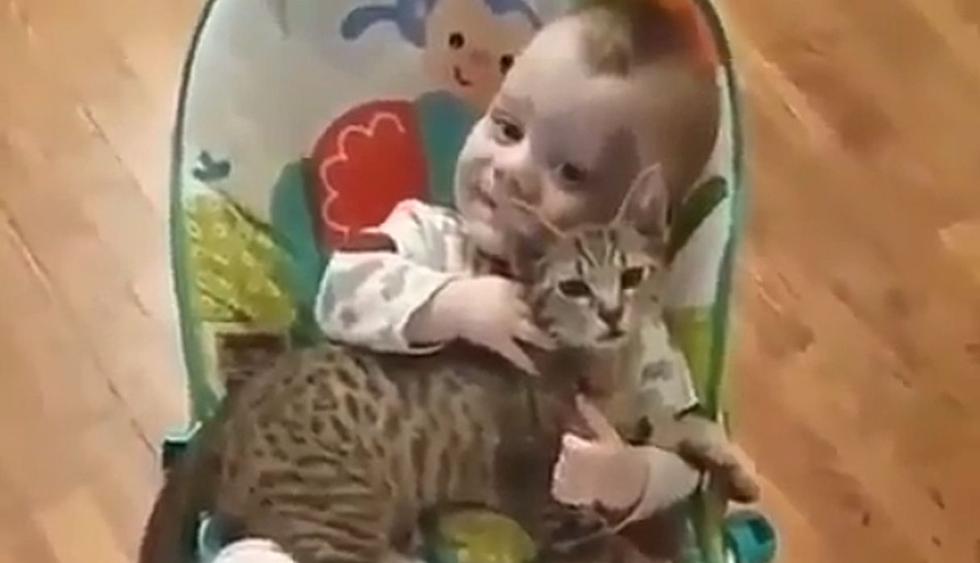 El pequeño y su gato se llevan de maravilla y más aún cuando están en la silla de juegos. (Foto: captura Instagram)