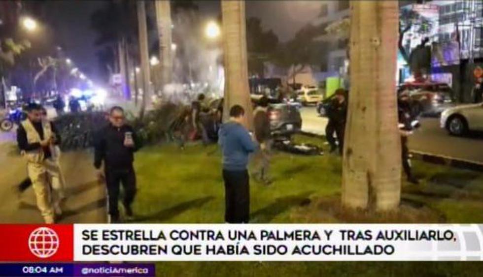 Sujeto se salva de morir tras impactar contra una palmera en la avenida Javier Prado. (Foto: América TV)