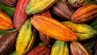 Conoce los mejores chocolates del Perú:  Scrap & Chocolates y Cacaosuyo