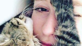 Gato peruano que fue adoptado en Cusco podría recibir eutanasia en Bélgica: Esta es la pesadilla de Selena y el pequeño Lee
