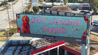 Alquila una valla publicitaria para que todos se enteren que es cumpleaños de su perro