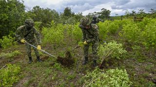 Colombia: Seis indígenas asesinados en varios ataques
