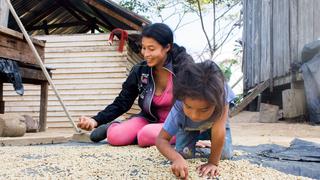El 88% del trabajo infantil en el Perú se encuentra en el área rural y agrícola