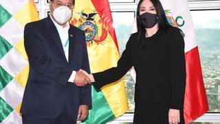 Canciller peruana se reunió con el presidente de Bolivia, Luis Arce, en La Paz
