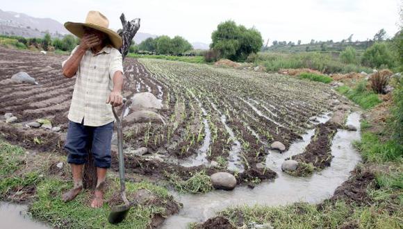 Agricultores afectados por El Niño costero tendrán bono de hasta S/6,075 (USI)