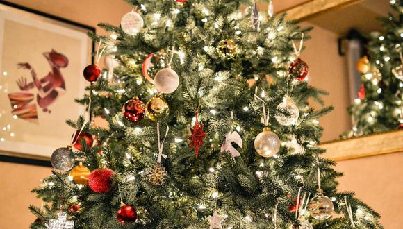 Un gato se escondió en un árbol de Navidad y se convirtió, sin querer, en el responsable de un complicado reto visual. (Foto: Referencial/Pixabay)