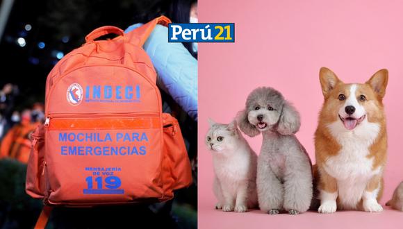 Mochila de emergencia para mascotas. (Foto: Composición Perú21)