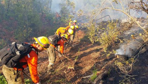 Brigadistas combaten el fuego en algunos incendios activos en la sureña región de La Araucanía. (Foto: EFE)