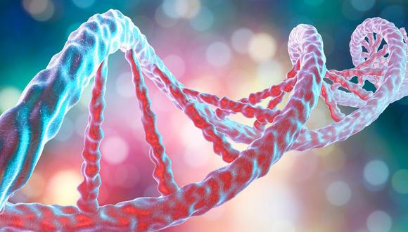 Conoce cómo tu ADN puede influir en tus hábitos alimenticios.