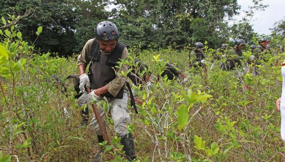 Devida asegura que se han erradicado más de 27 mil hectáreas de hoja de coca en 2014. (Perú21)