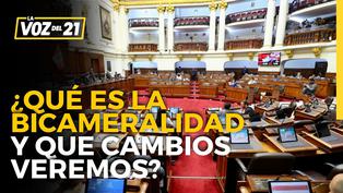 Domingo García Belaunde: “Cámara única se atora en su trabajo, por eso el Congreso es tan demorón”