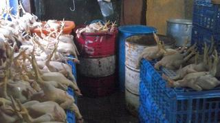 Comas: Incautaron más de seis toneladas de pollo malogrado