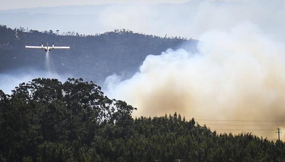 El incendio se declaró el pasado día 3 de agosto por la tarde y ha arrasado entre 15.000 y 20.000 hectáreas. (Foto: AFP)