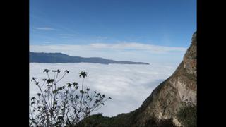 Bosques Nublados de Udima, un área poco conocido del norte peruano | FOTOS